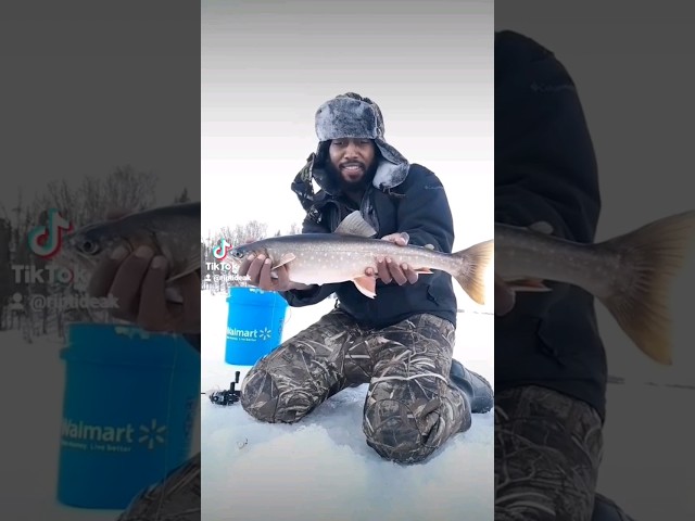 Thank you 4 support. #fishing #fishingvideo #icefishing #fishinglife #fisherman #fishingislife #fish
