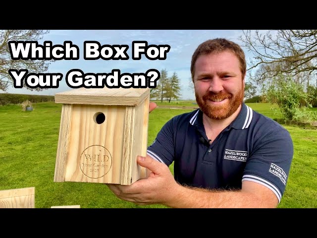 The BEST WILDLIFE BOXES For YOUR GARDEN & Where To Put Them For BEST Results
