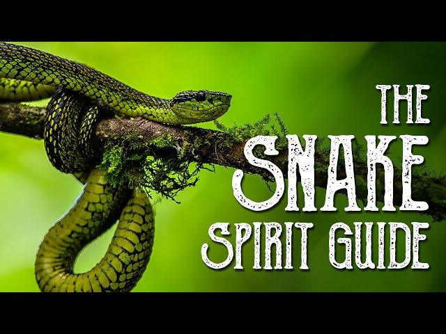 Snake Spirit Guide - Ask the Spirit Guides Oracle - Totem Animal - Power Animal - Magical Crafting