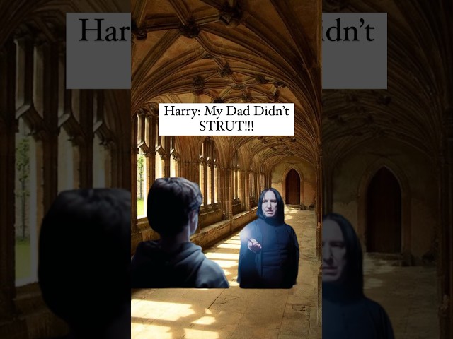 Harry Potters Dad Strutting In Hogwarts #harrypotter #harrypottermeme