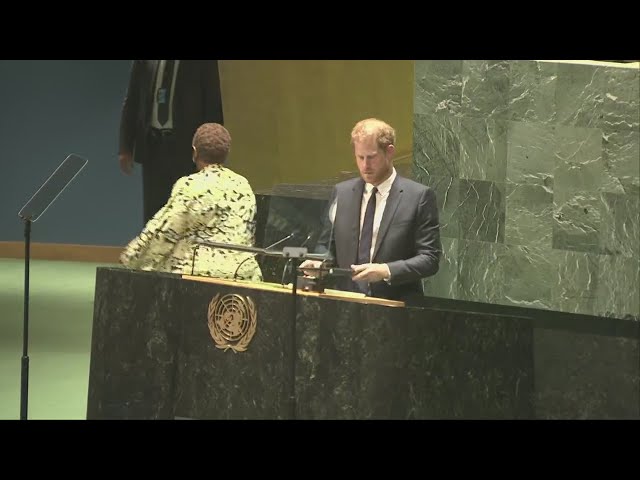 Prince Harry at UN