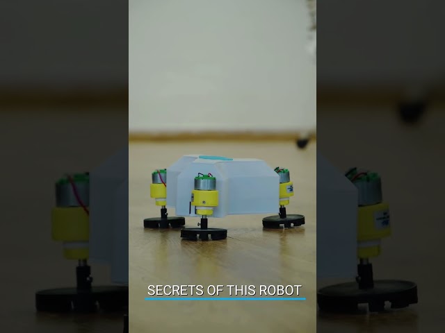 A Cute Robot from Lesics Engineers | Tri-Rad Robot
