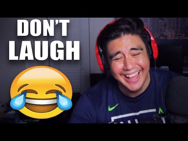 THESE WILL ALWAYS MAKE ME CRY LAUGHING | Try To Make Me Laugh (Fan Submissions)