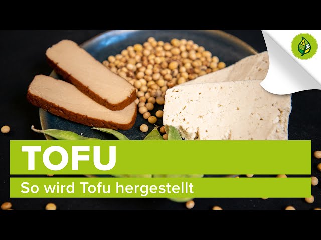 So wird Tofu hergestellt