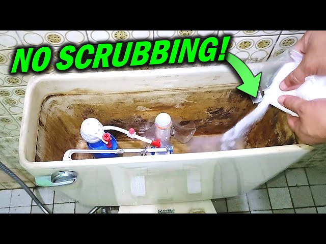 Clean Toilet Tanks without Scrubbing! (How to Use Citric Acid)