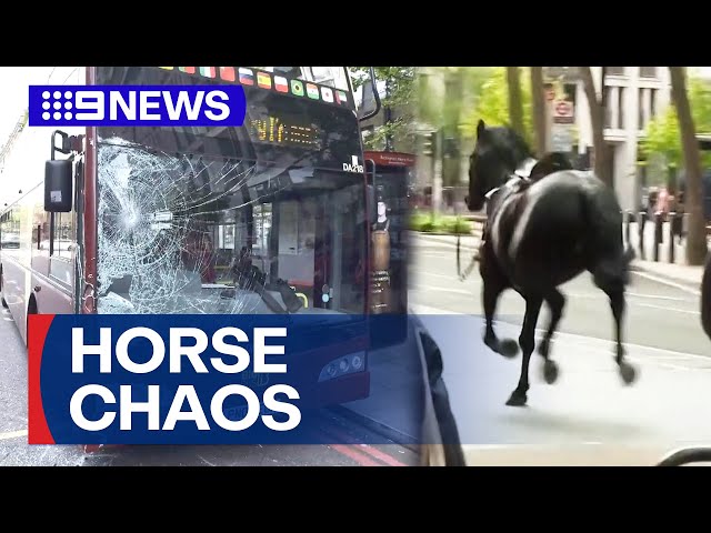 Military horses run through London rush hour traffic causing chaos | 9 News Australia