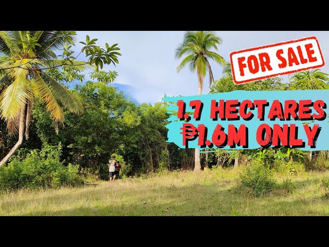 #72 Coconut farm for sale in the Philippines
