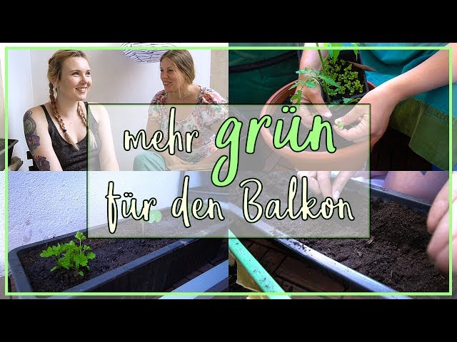 Mehr GRÜN für den Balkon - Kräuter & Gemüse anpflanzen mit wenig Platz