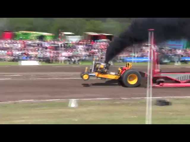 Dingo 2500kg Modified - 2nd DM Tractor Pulling