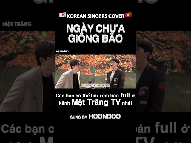 #shorts Korean Singers Cover - Ngày Chưa Giông Bão #hoondoo #mặttrăngtv