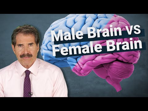 Stossel: The Science Around Male Brains vs. Female Brains