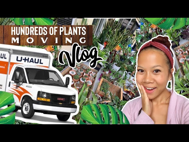 Moving House Plants 🌿 Vlog 002 | UPDATE | A girl with a garden