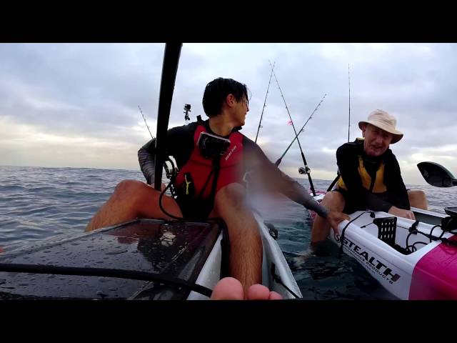 Dustings, Deals & First Mackerel for 2014-15 - Kayak Fishing Gold Coast