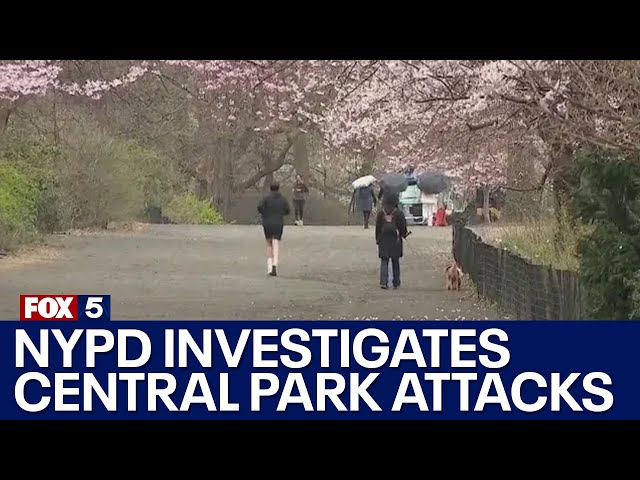 NYPD investigates Central Park unprovoked attacks