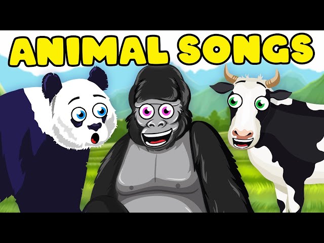 Learn ALL About Animals! | Animal Songs Compilation | KLT