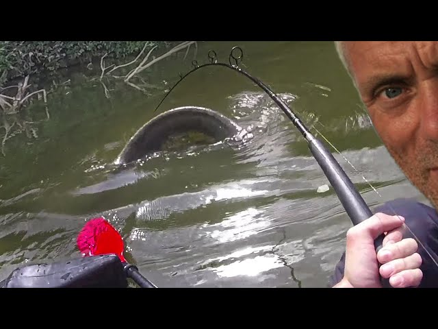 THIS HUGE CATFISH TAKES MY HAND OUT! BRUTAL FIGHT!
