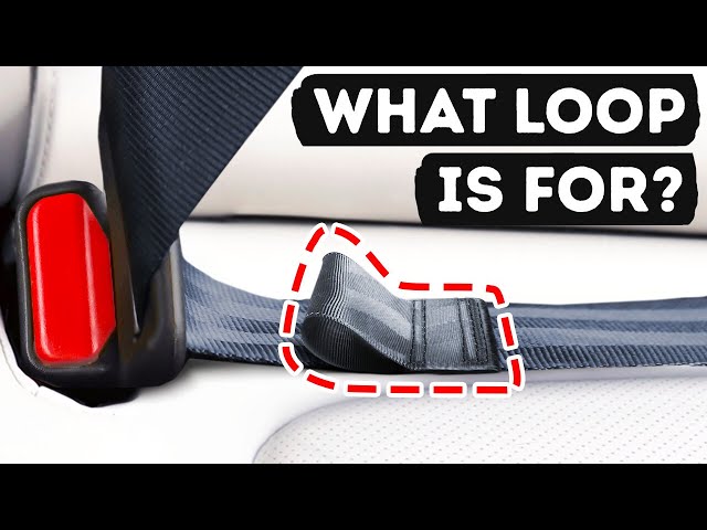 Hidden Loop on a Seat Belt And Other Details You've Never Noticed
