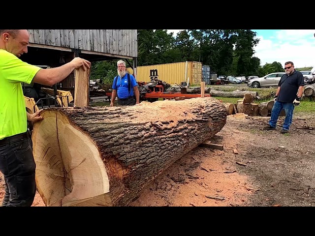 quarter sawing a monster white oak log # 463