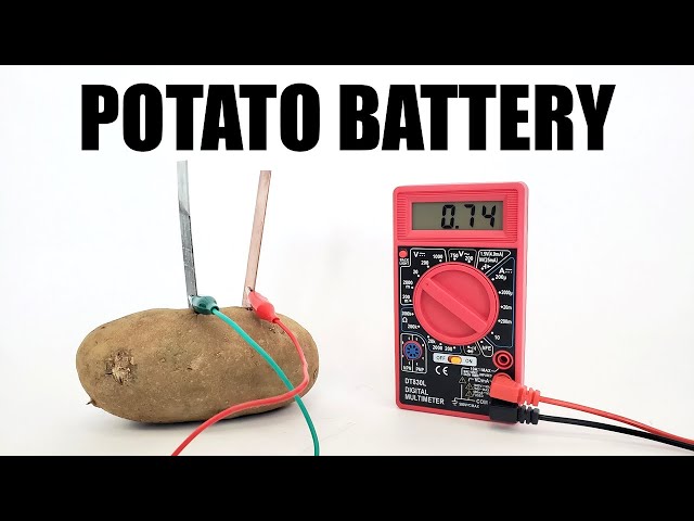 Potato Battery Science Project