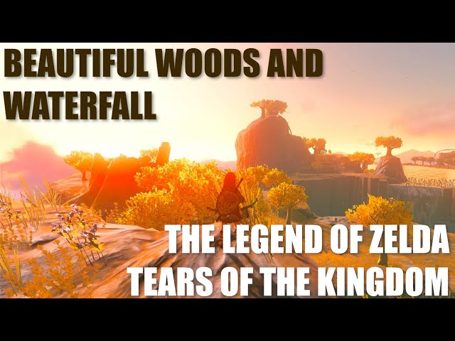 Beautiful Woods and Waterfall Landscape in The Legend of Zelda Tears of the Kingdom