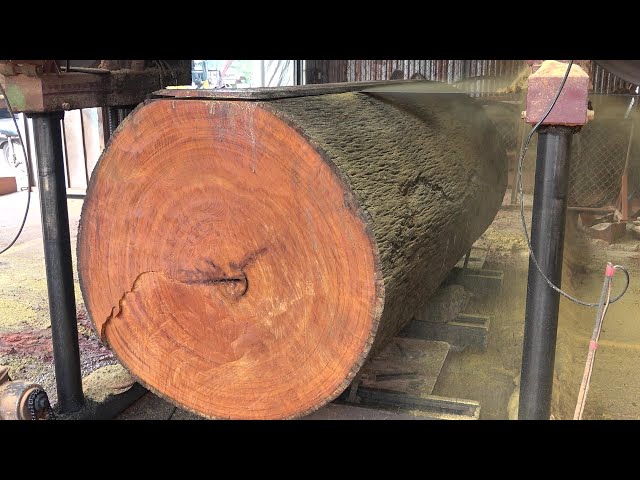 Amazing Wood Sawmill Fast Working - Professional Lumber Mill