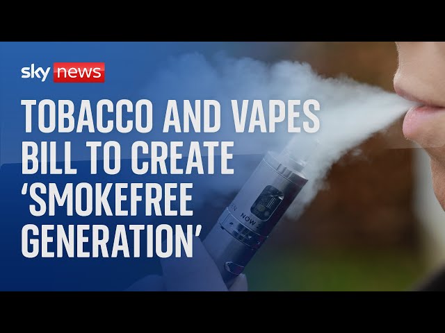 Select Committee considers the Tobacco and Vapes Bill