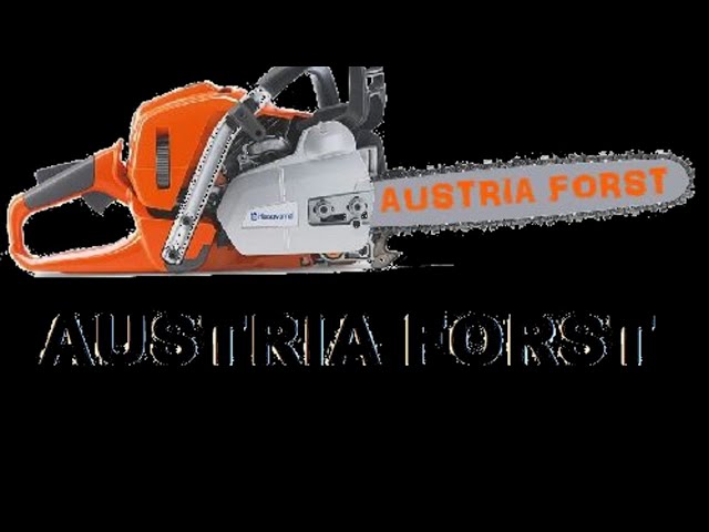 Eure Fragen werden beantwortet! # 2  Austria Forst Live Talk