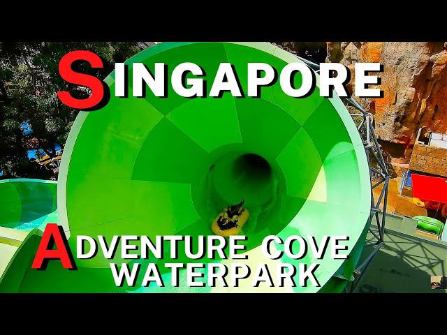Singapore Adventure Cove Waterpark, Water Slides, Lazy River, Wade Among Rays and Dolphins
