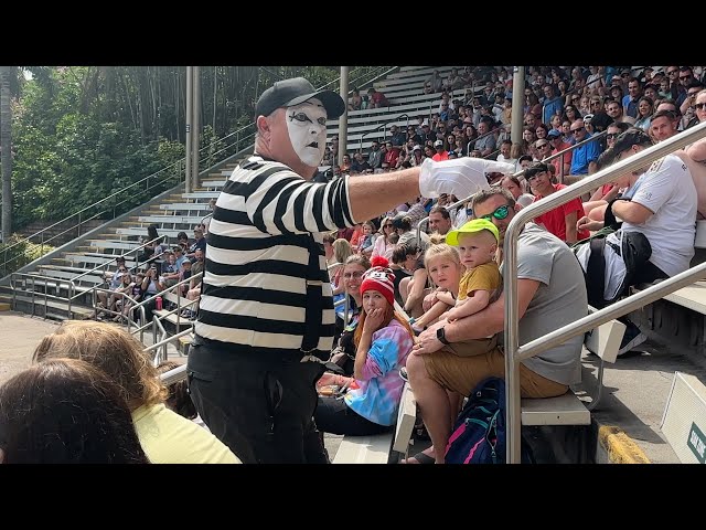 Tom the Seaworld Mime: A Must-See Performance
