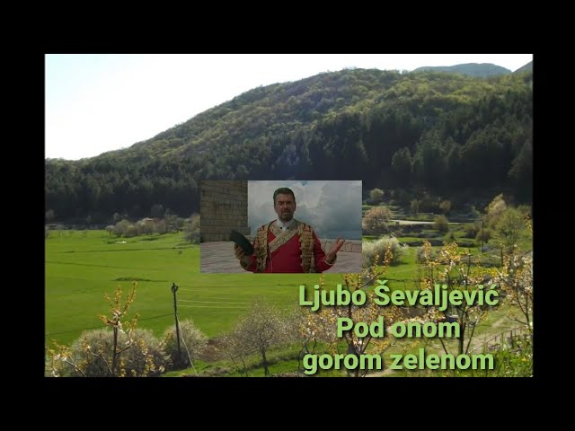 Ljubo Ševaljević - Pod onom gorom zelenom