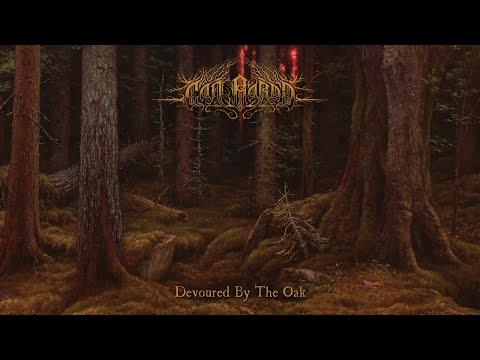 Cân Bardd - Devoured by the Oak (Full Album Premiere)