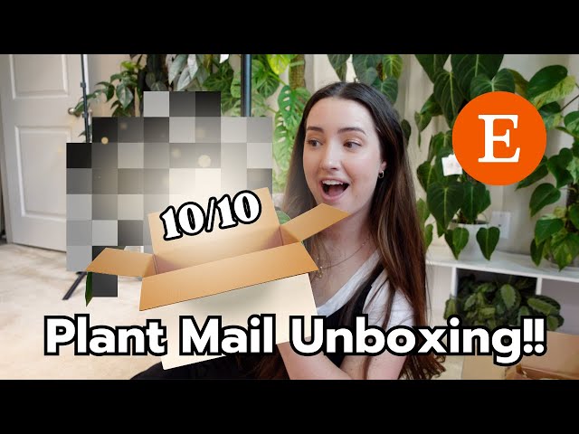 Unbox New Plant Mail with me from Etsy! SO IMPRESSED!