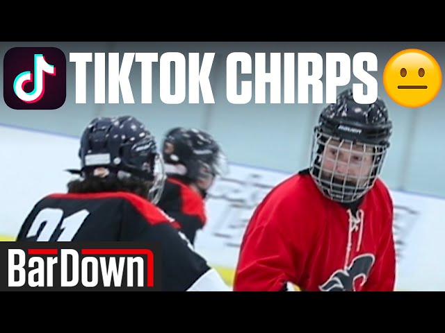 USING CRINGY HOCKEY TIKTOK CHIRPS IN A GAME