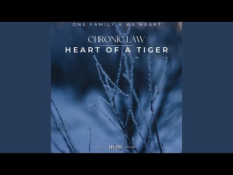Heart Of A Tiger