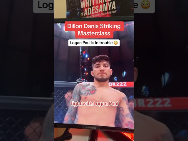 Dillon Danis is a striking genius 😳 #boxing #shorts