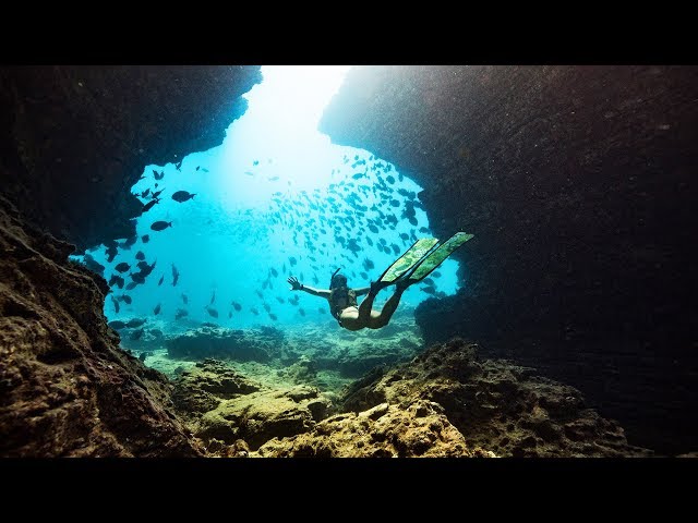 Justin Bastien Gets The Perfect Underwater Shot w/ Freediver Kimi Werner | Project: Behind the Lens