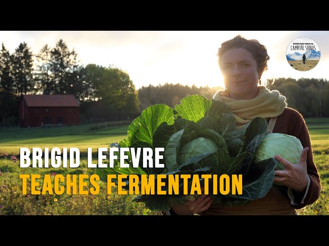 How to Make Your Own Lacto Fermented Vegetables (With “Kimchi Queen” Brigid LeFevre)