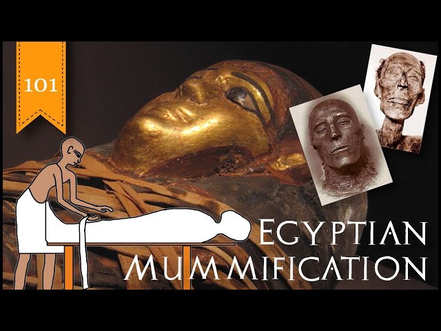 The Mummification Process 101: How Ancient Egyptian Mummies Were Made - FreeSchool 101