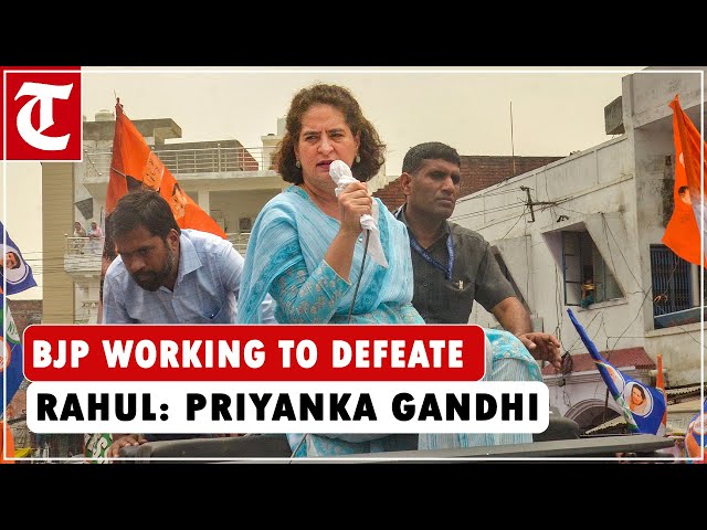 Priyanka Gandhi says the entire BJP machinery is engaged in spreading lies against Rahul Gandhi