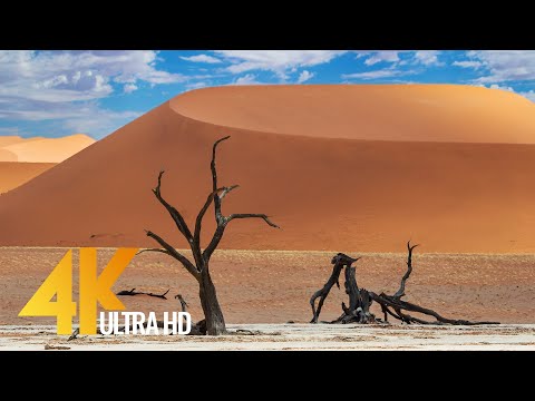 Spectacular Namibia and Botswana - Discovering The Deserts - 4K Relaxation Video
