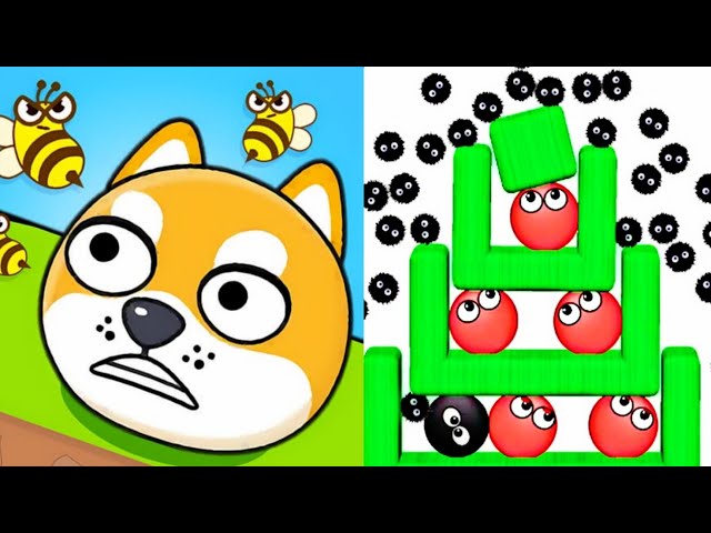 Hide Balls Brain Teasers VS Save The Dog Logic Puzzle Gameplay