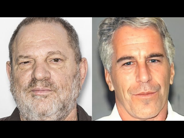Disturbing Details About Harvey Weinstein & Jeffrey Epstein's Relationship