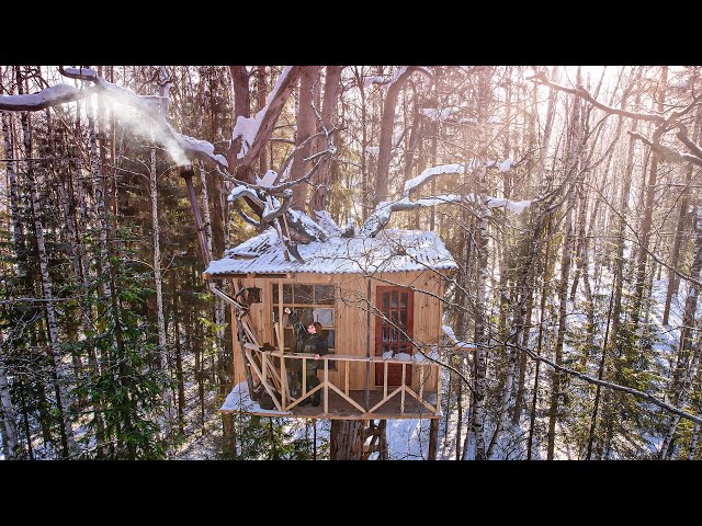 My TREE HOUSE LIFE - Building and hiding in the WOODS