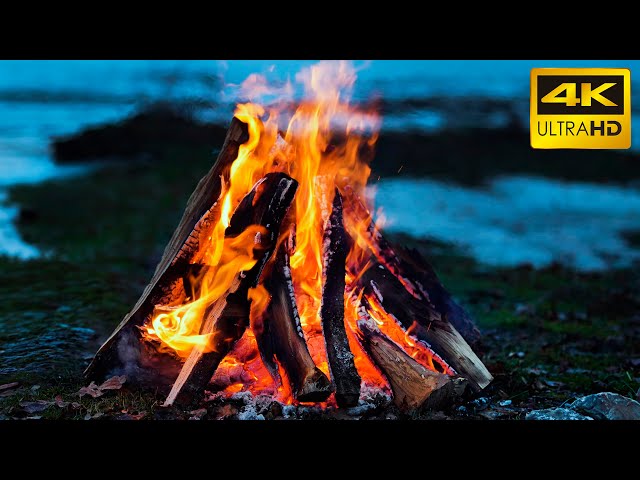 🔥 10 Hours of Crackling Campfire in the Wilderness 🔥 The Best Burning Fireplace Sounds (Ultra HD) 4K