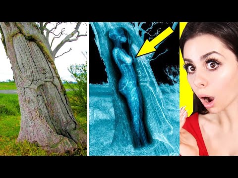 Strange Things Found in Unexpected Places !