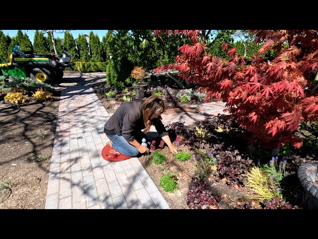 Planting Potatoes & A Bunch of Groundcovers! 🥔🌿😁 // Garden Answer