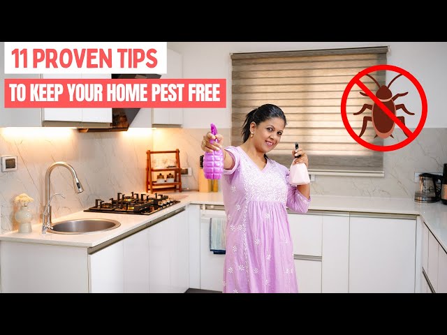 11 Proven Tips to Keep Your Home Pest Free | Indian Household Guide