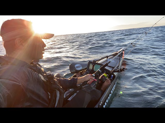 Fishing Live Stream - Snapper Hunt!