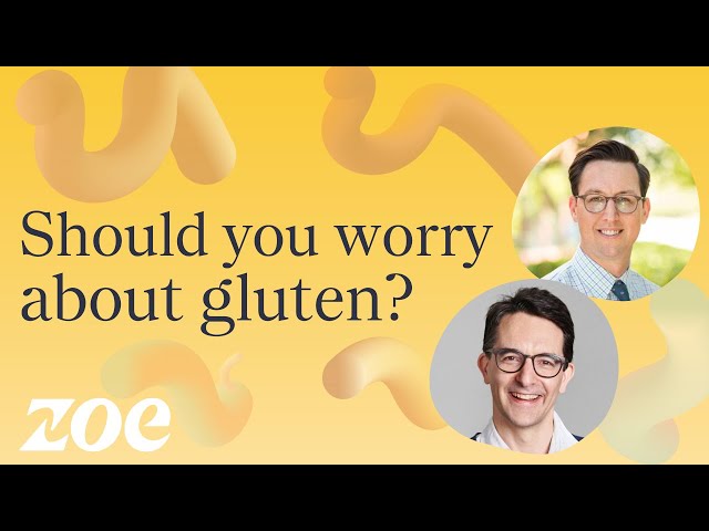 Should you worry about gluten? | Dr Will Bulsiewicz