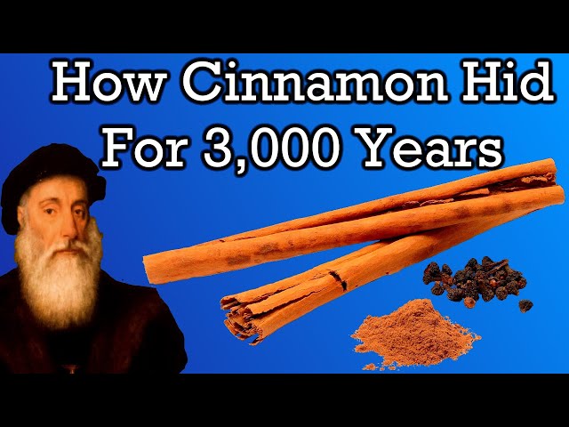The Mysterious History of Cinnamon